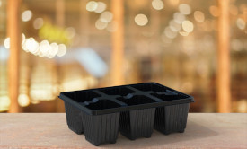 Germination Trays
