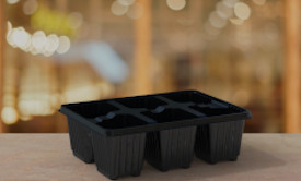 Germination Trays